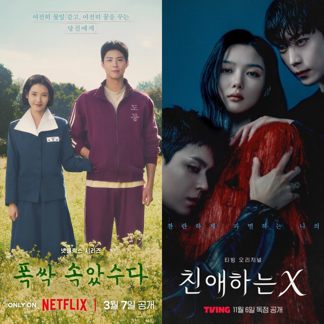 [각 드라마 공식 포스터]