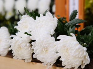 Navigating Korean funerals: From what to wear to what not to do