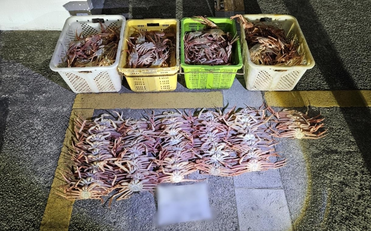 [포항해양경찰서 제공]