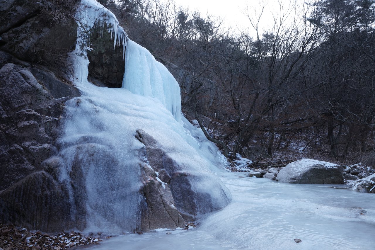 Wongak Falls on Sapaesan Mountain in Yangju, Gyeonggi Province, are frozen over, forming an ice wall, Thursday (Yonhap)