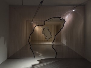 How does an artist's view of nature differ from a biologist's?