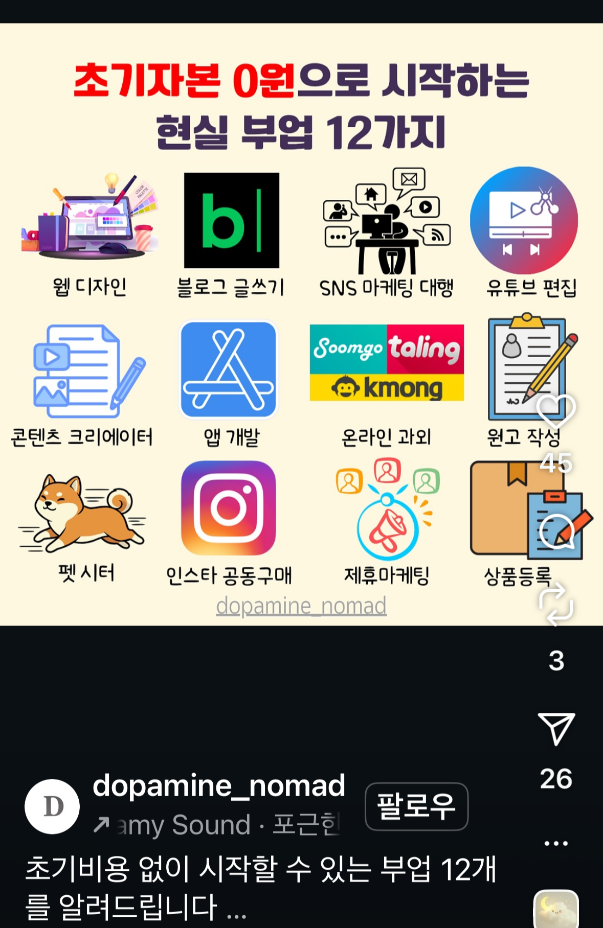 An Instagram post showing diverse platforms where additional income can be earned. (Instagram)