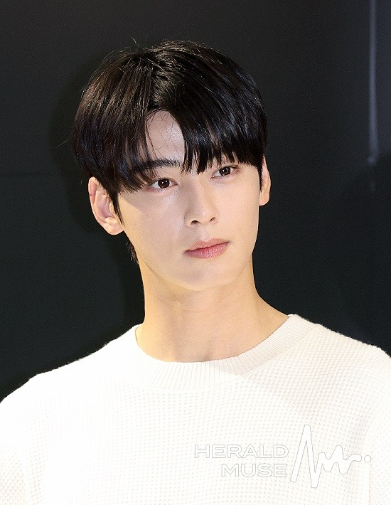 차은우/사진=헤럴드뮤즈 DB