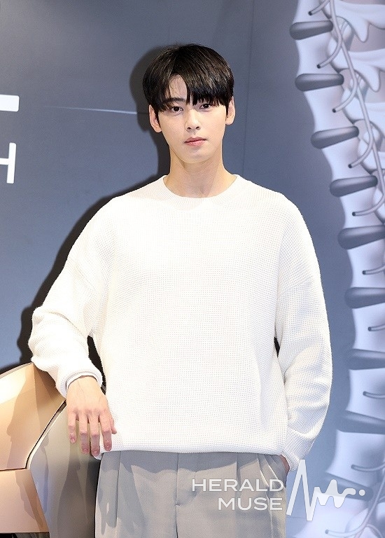 차은우/사진=헤럴드뮤즈 DB