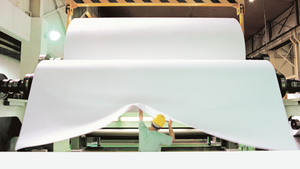 고환율 뉴노멀... 제지 5사 '실적 희비' 해외비중서 갈린다 - 뉴스 썸네일 이미지