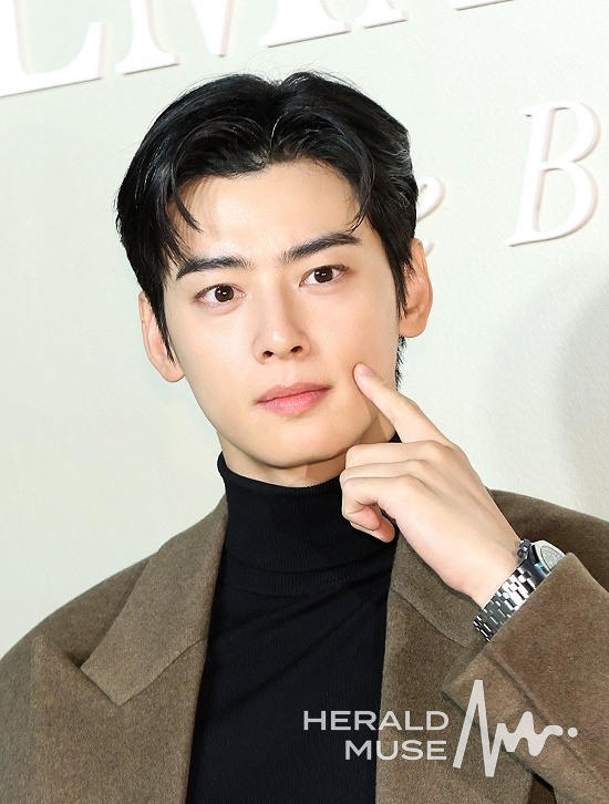 차은우. 헤럴드뮤즈DB