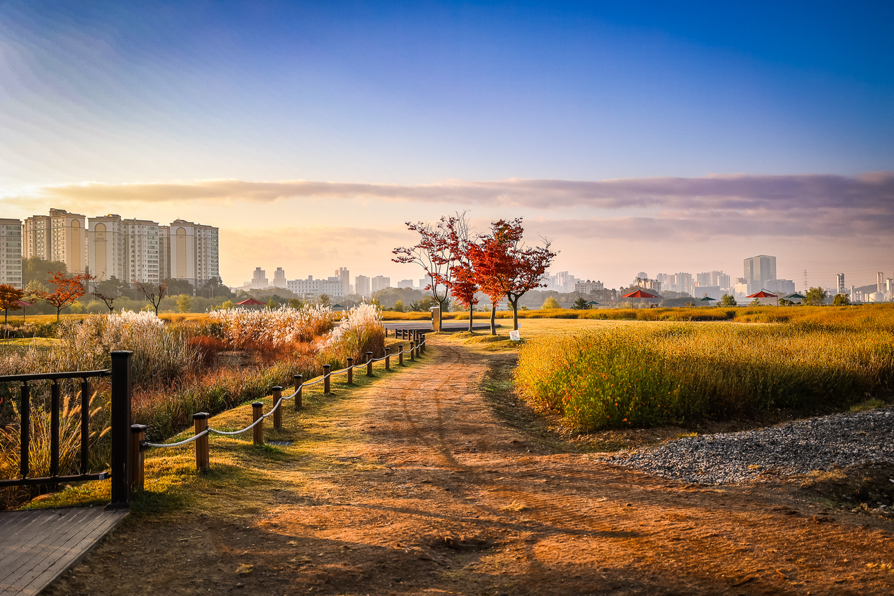 Morning autumn view of Giheung Lake Park in Gyeonggi Province, one of the city’s largest waterfront parks (Yongin Special City)