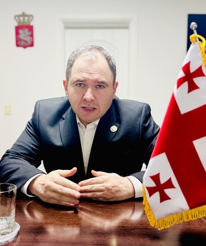 Georgia-Korea deal, pragmatic diplomacy: New pathways for constrained markets