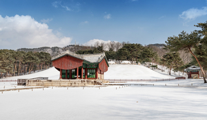 Palaces, Jongmyo, royal tombs open free for Lunar New Year