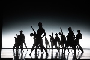 National Contemporary Dance Company takes 'Jungle' to Spain, Belgium