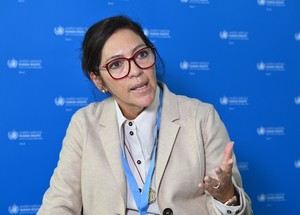 ‘Decisions on N. Korean POWs rest with Ukraine— not Seoul, not media,’ says UN investigator