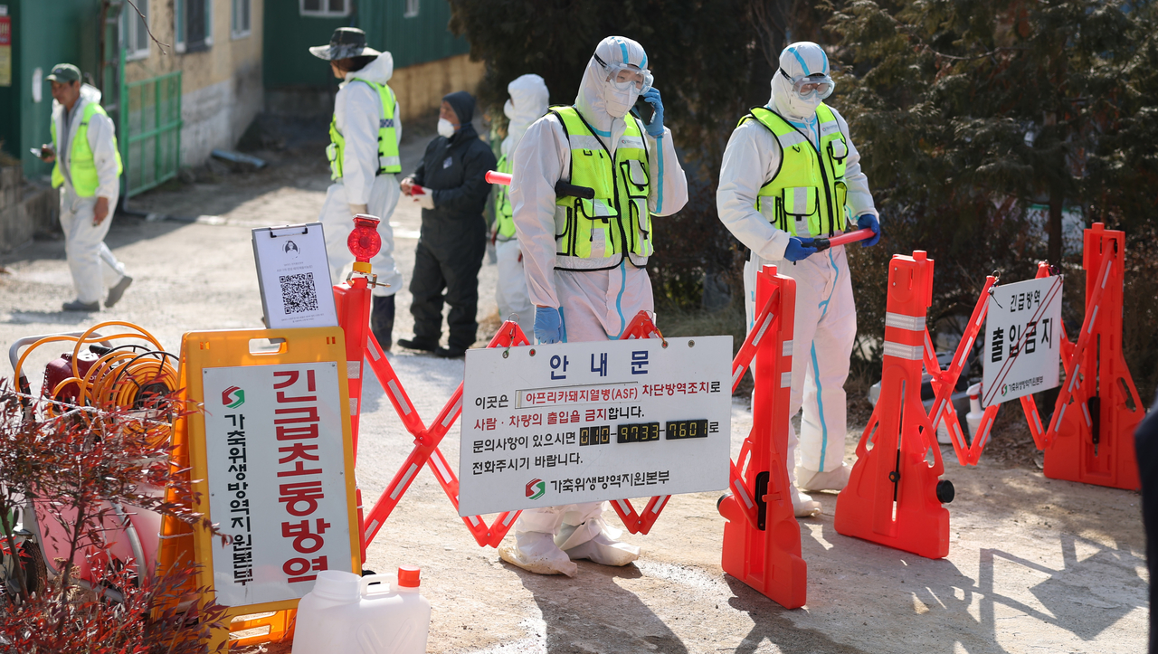 Quarantine officials control the area in Changnyeong, North Gyeongsang Province, where an African swine fever case was reported on Wednesday. (Yonhap)