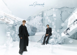 Seventeen’s DK, Seungkwan certified gold in Japan