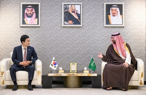 Defense chief discusses arms cooperation with Saudi natl. guard minister