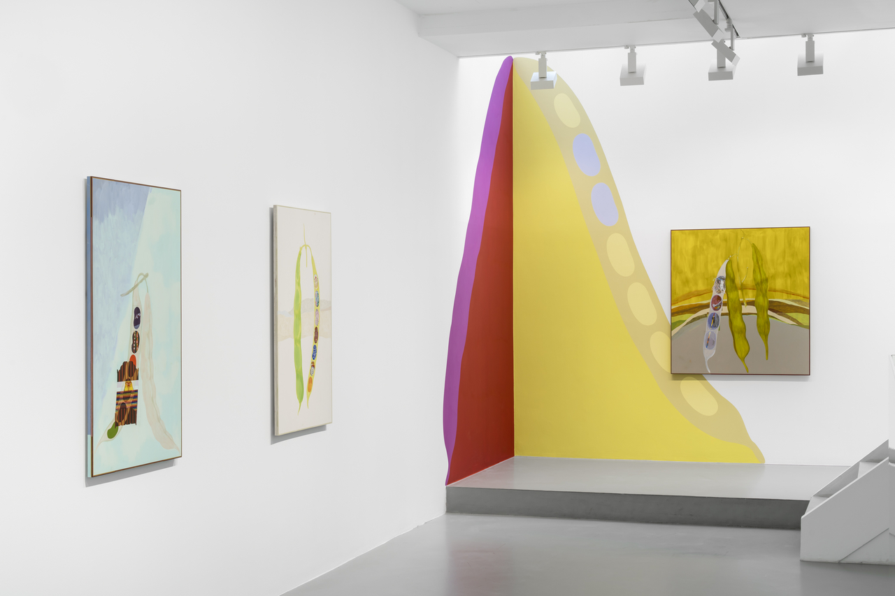 Installation view of "Peas, Pod" at Gladstone Gallery in Seoul  (Courtesy of the gallery)