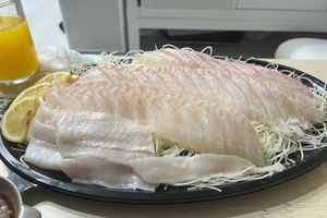 "이제 회도 못 먹겠다" 싼 맛에 먹던 '광어'의 배신...순식간에 '금... - 뉴스 썸네일 이미지