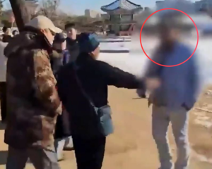 Chinese tourists accused of assaulting palace guard leave Korea after police probe