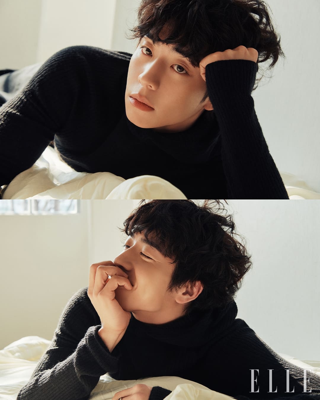 채종협