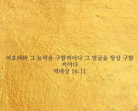 [최시원 SNS]