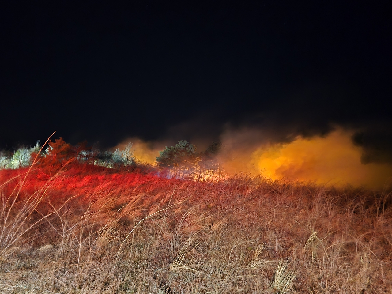 A fire erupted on a hillside in Goseong County, Gangwon Province at about 7:22 p.m., Sunday. (Gangwon Province)
