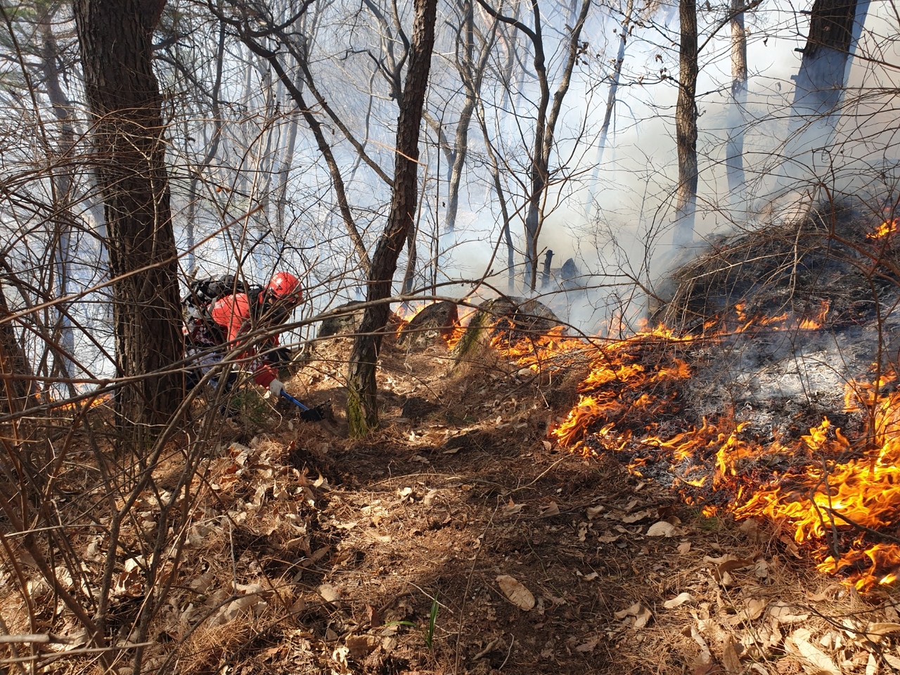 Forest authorities carry out wildfire suppression efforts in Hamyang, South Gyeongsang Province, Monday. (Yonhap)