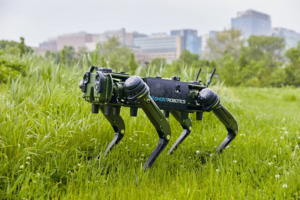 LIG Nex1 denies delay in Ghost Robotics US IPO, reaffirms 2029 target