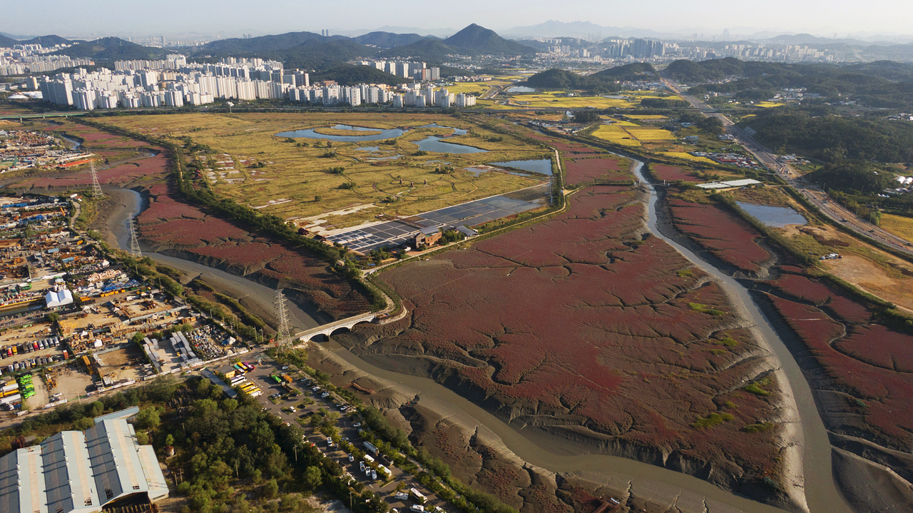 Sorae Marsh Ecological Park in Namdong-gu, Incheon (Namdong-gu Office)