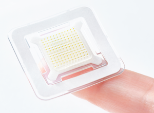 Daewoong secures global rights to obesity microneedle patch