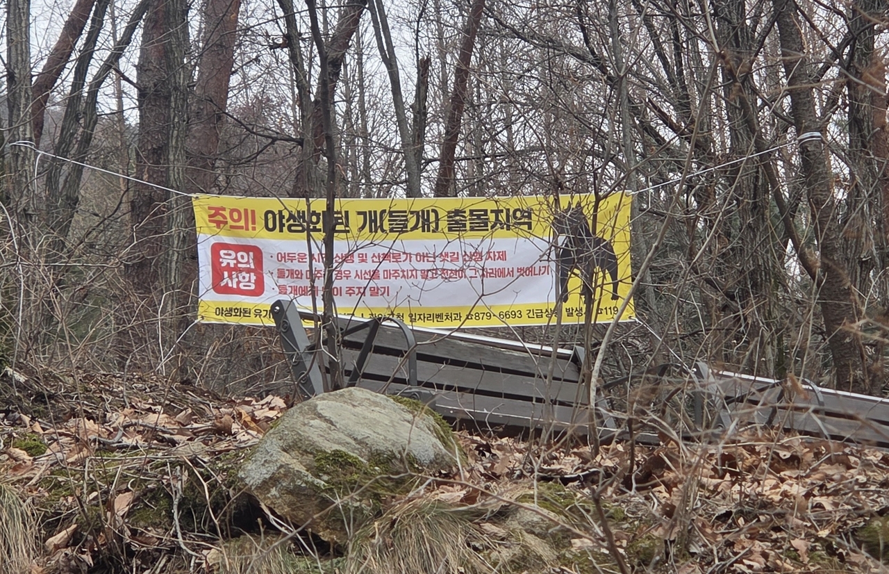 A banner is hanging along the Gwanaksan trail that cautions hikers to be careful of wild dogs. (Seoul Metropolitan Government)