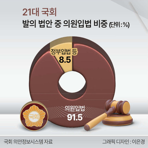 견제장치 없는 의원입법 - 뉴스 썸네일 이미지