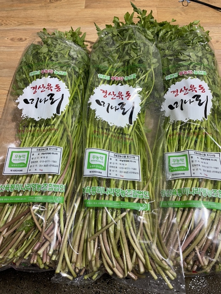 경산 육동 미나리.[경산시 제공]