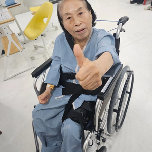 전원주 고관절 수술 관련 보도 이미지(헤럴드경제)