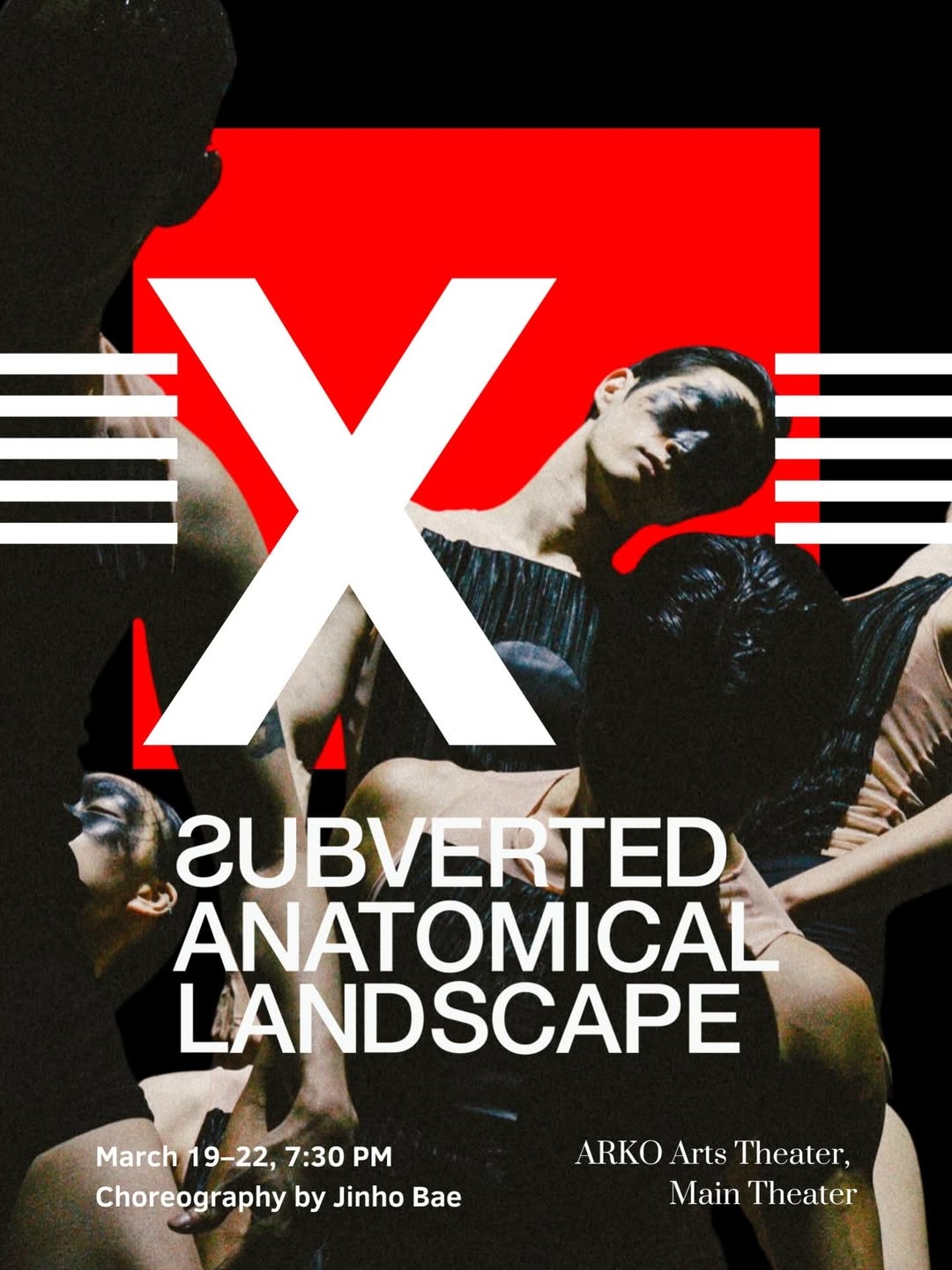 Poster for Subverted Anatomical Landscape's "X" (SAL)