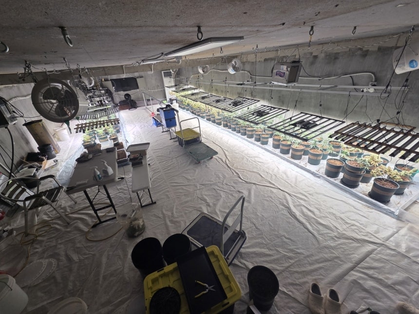 This photo distributed by the pan-government drug crime investigation headquarters shows the underground facility where two suspects grew cannabis under the pretense of running a "smart farm." (Yonhap)