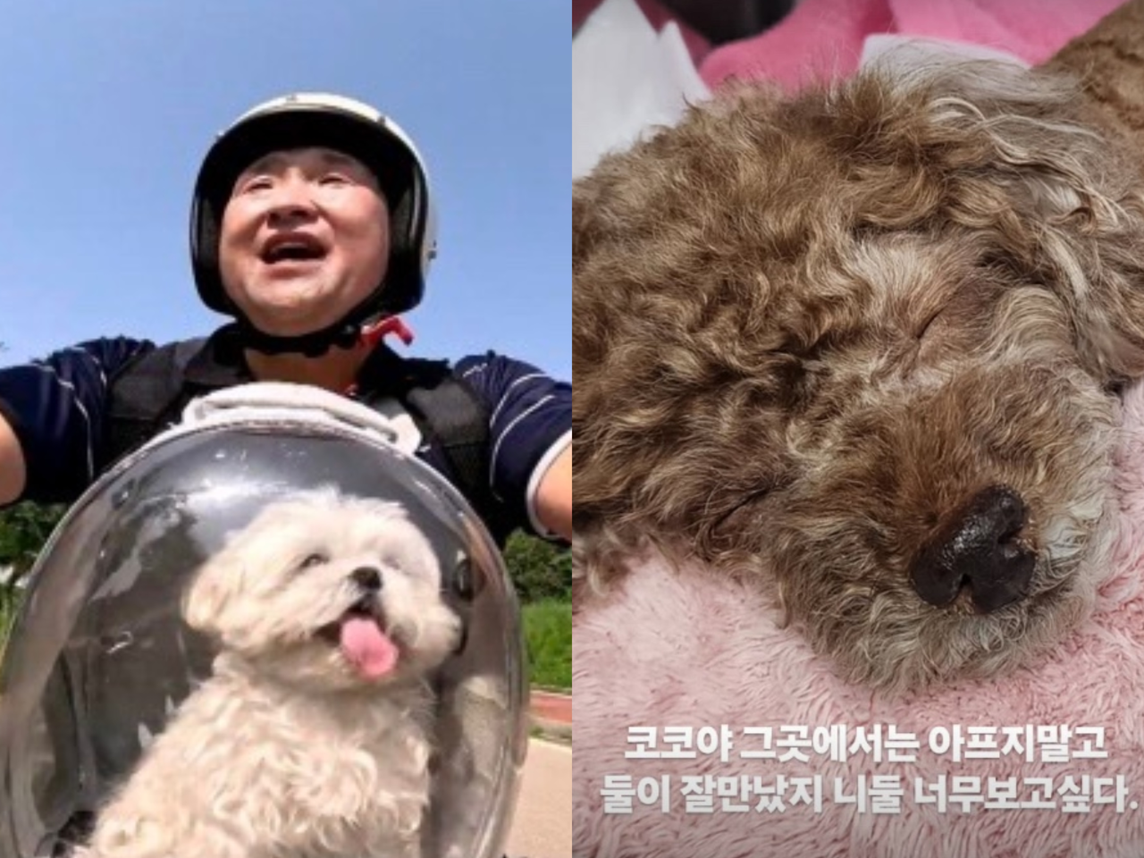 [MBC, 구성환 SNS]