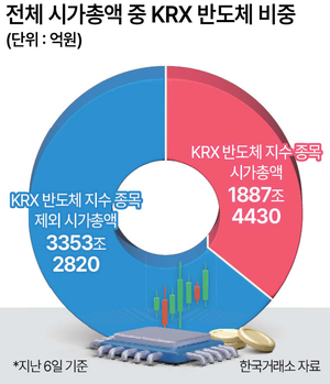 반도체 투자 쏠림이 '롤러코스피' 불렀다 - 뉴스 썸네일 이미지