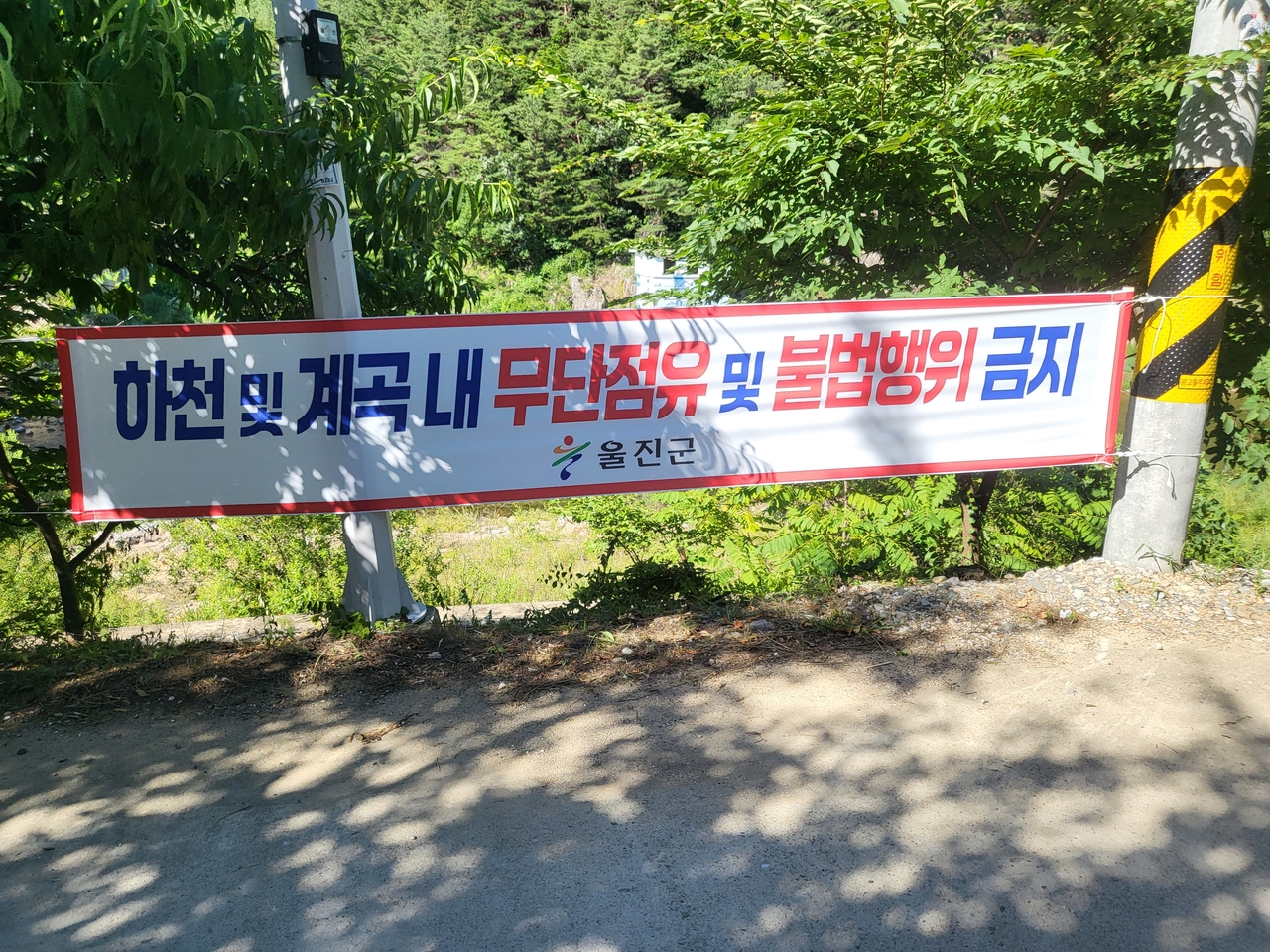 [울진군 제공]