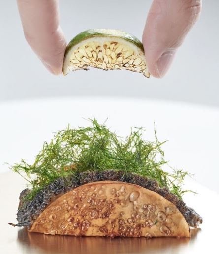 Abalone taco (Mosu's official Instagram)