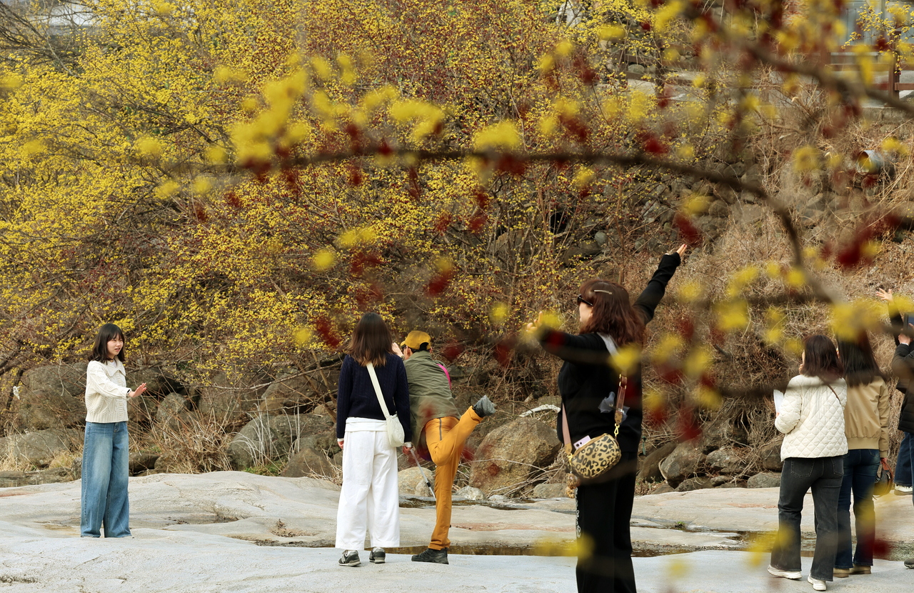Visitors take in the spring atmosphere at the 27th Gurye Sansuyu Festival at the Jirisan Hot Spring Complex in Sandong-myeon, Gurye, South Jeolla Province, Sunday. (Yonhap)