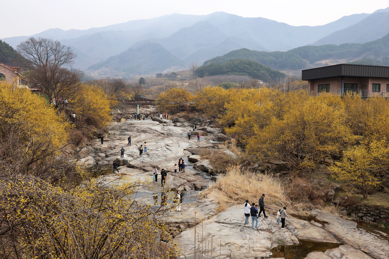 Visitors soak in the spring season at the 27th Gurye Sansuyu Festival at the Jirisan Hot Spring Complex in Sandong-myeon, Gurye, South Jeolla Province, Sunday. (Yonhap)
