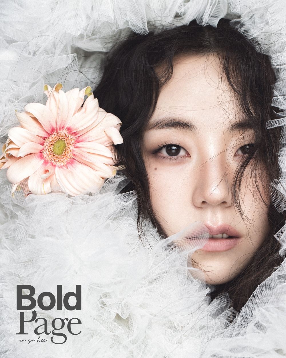 사진=볼드페이지 제공