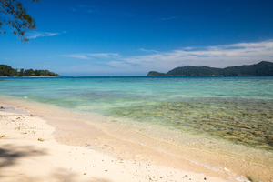 Weak swimmers become heroes: Chinese tourists save Korean girl in Malaysia