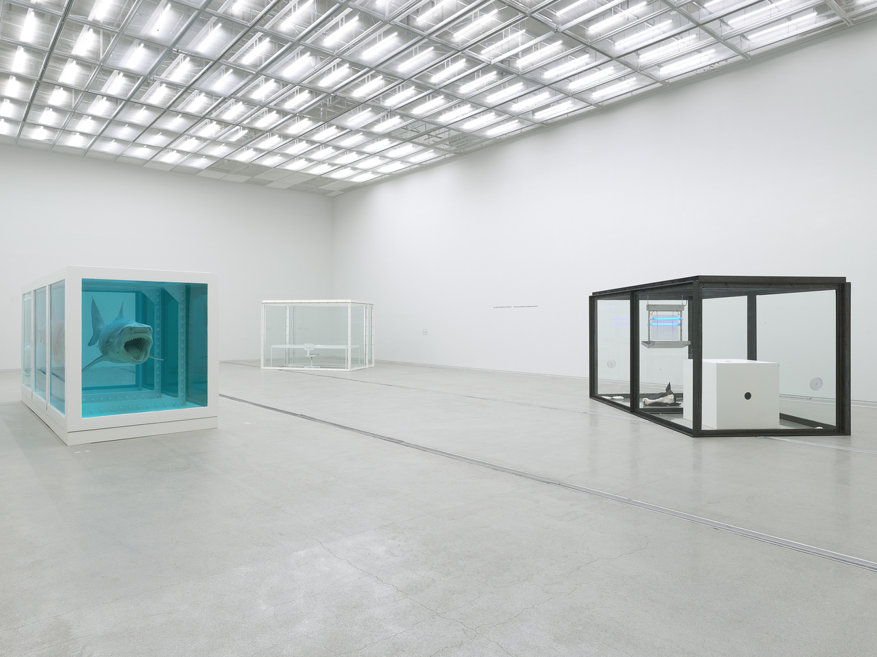 Installation view of "Damien Hirst: Nothing Is True But Everything Is Possible" at the National Museum of Modern and Contemporary Art, Korea (Prudence Cuming Associates Ltd.)