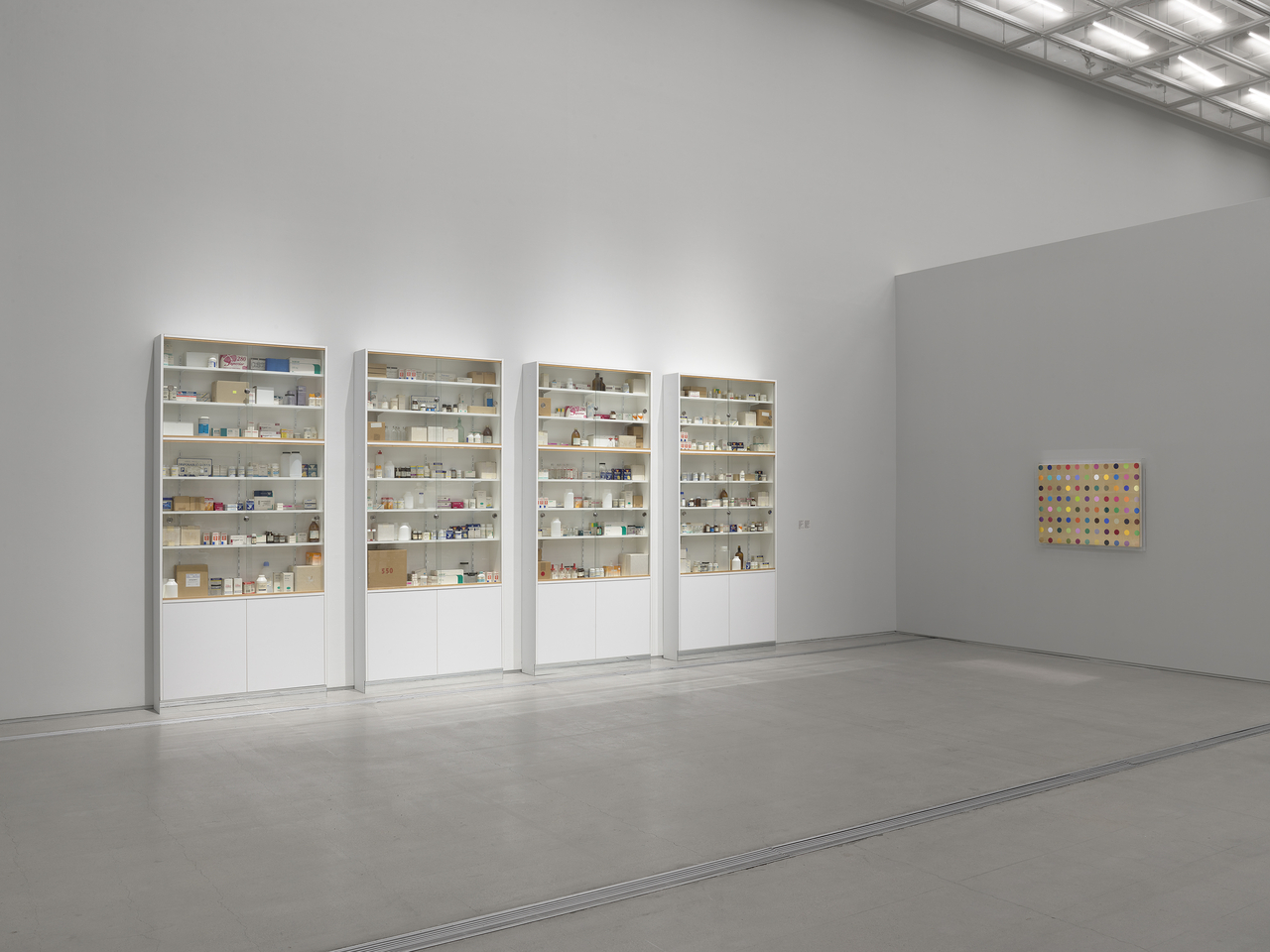 Installation view of "Damien Hirst: Nothing Is True But Everything Is Possible" at the National Museum of Modern and Contemporary Art, Korea (Prudence Cuming Associates Ltd.)