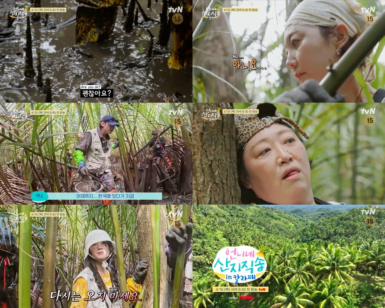 사진=tvN 제공