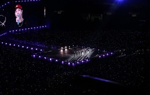 Finding BTS when they needed them 