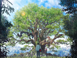 녹나무에 얽힌 진실...전하지 못한 기억의 위로 [리뷰] - 뉴스 썸네일 이미지