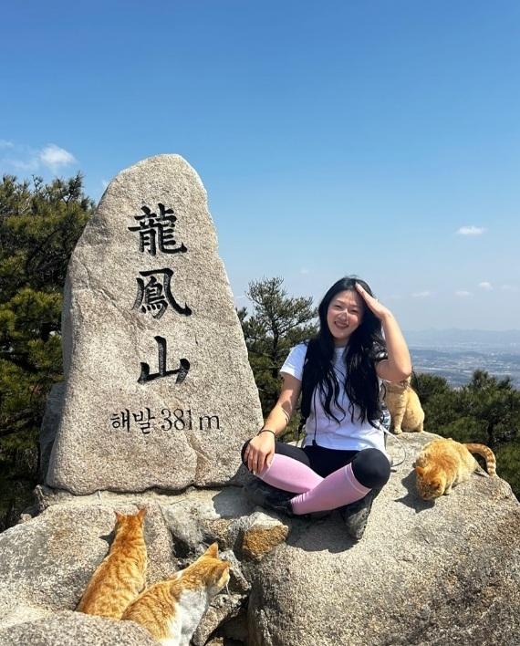 Stray cats steal spotlight at Yongbongsan - The Korea Herald