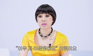 서인영 이혼 관련 헤럴드경제 보도 이미지