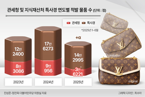 [단독] 작년 적발된 가품 ‘18만점+α’…통관 인력은 300명 불과 [짝퉁과의 전쟁 ②]